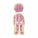 İnsan Vücudu Tahta Puzzle - Görsel 4