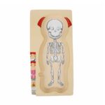 İnsan Vücudu Tahta Puzzle - Görsel 3