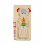 İnsan Vücudu Tahta Puzzle - Görsel 2