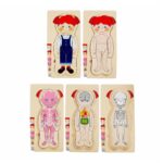 İnsan Vücudu Tahta Puzzle