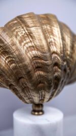 Dekor - Midye Kabuk - Eskitme - Görsel 3