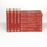 Risale-i Nur Külliyatı - 14 Kitap - Büyük Boy - Yaldızlı - Söz Yayınları
